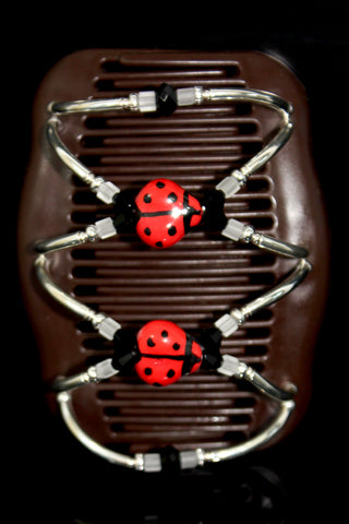 Lady Bug